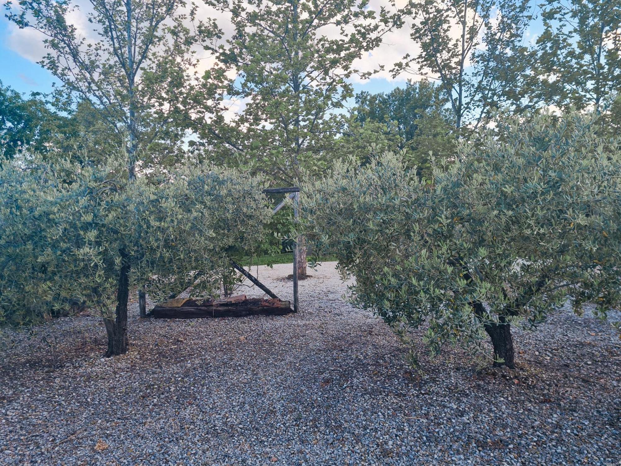 Amandola La Mela Rosa Bed & Breakfast מראה חיצוני תמונה