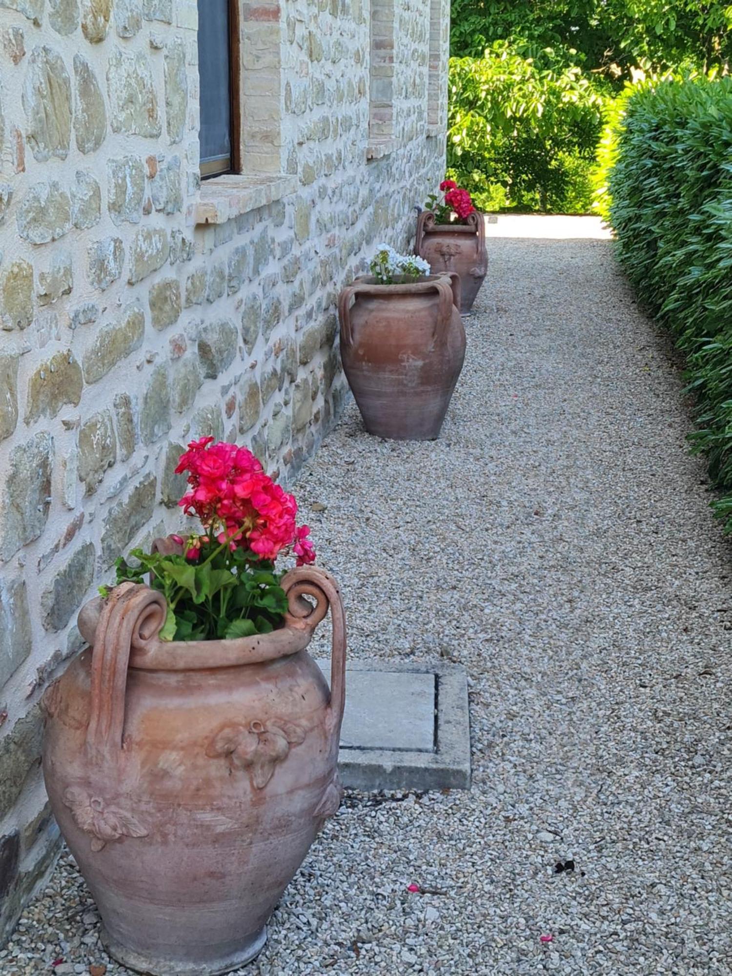 Amandola La Mela Rosa Bed & Breakfast מראה חיצוני תמונה